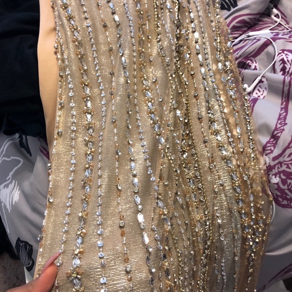 Terani couture dress/ Badgley Mischka heels - Picture 5 of 8